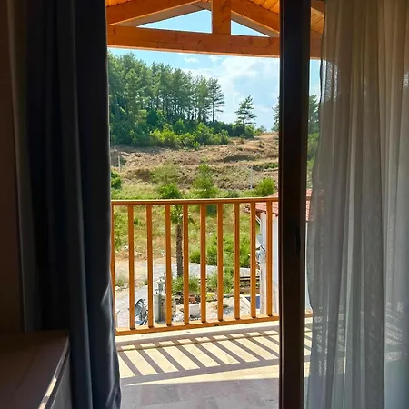 Nature Villa